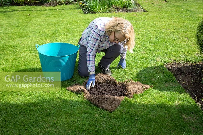Repairing a dip in a lawn. Adding compost.