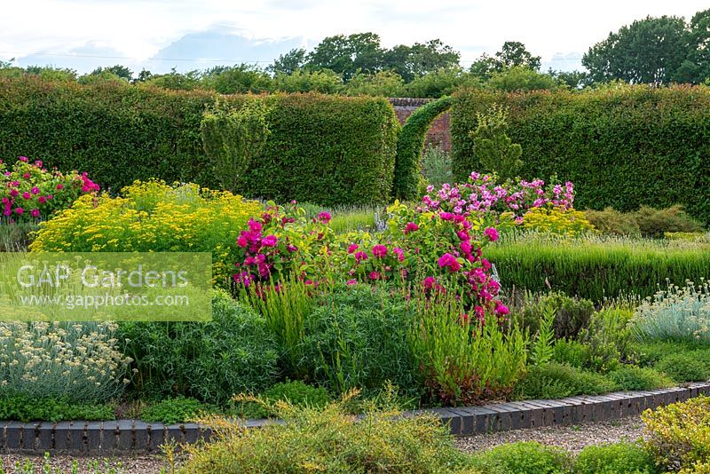 Circular herb garden enclosed in yew hedges - Hoveton Hall, June