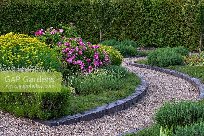 Circular herb garden enclosed in yew hedges - Rosa gallica 'Versicolor', rosa mundi and golden flowered rue.