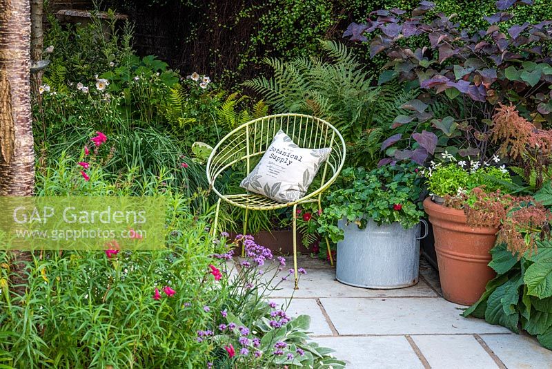 A modern chair and a terracotta pot of white violas, and galvanised metal agricultural vessel planted with pelargoniums. Behind, a raised corner bed planted with Anemone, grasses, ferns and Cercis canadensis.