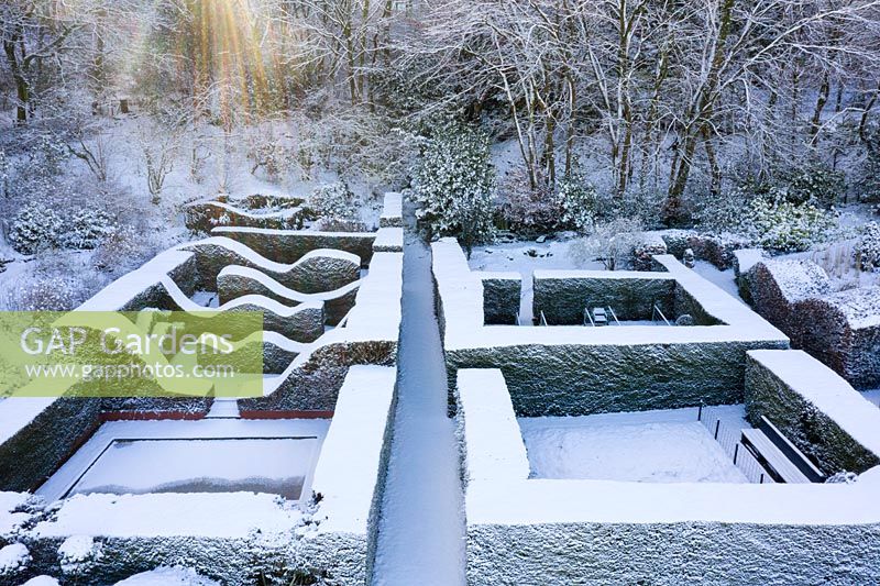 Formal country garden overview - snow covered topiary hedges. Garden - Veddw