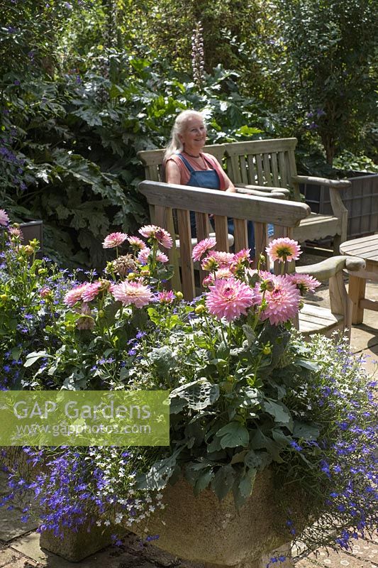 Woman in garden seating area with Dahlias and Lobelia in stone container