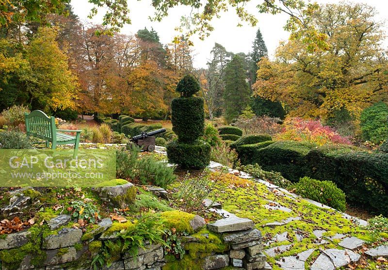 A moss covered stone terrace with a view over cloud shaped Taxus baccata and Buxus and autumn foliage on Quercus at the Arts and Crafts garden, High Moss, Portinscale, Cumbria, UK
