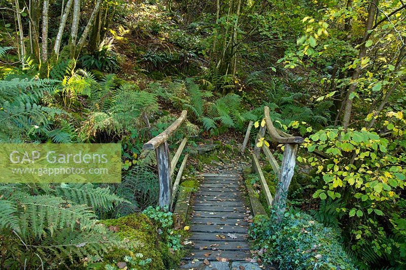 An old wooden bridge through a wooded area in autumn in John Ruskin's Brantwood Gardens, Coniston, Cumbria, UK