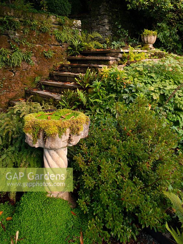 A moss covered stone urn next to stone steps covered with fallen leaves in autumn.  High Wray House, High Wray, Windermere, Cumbria, UK