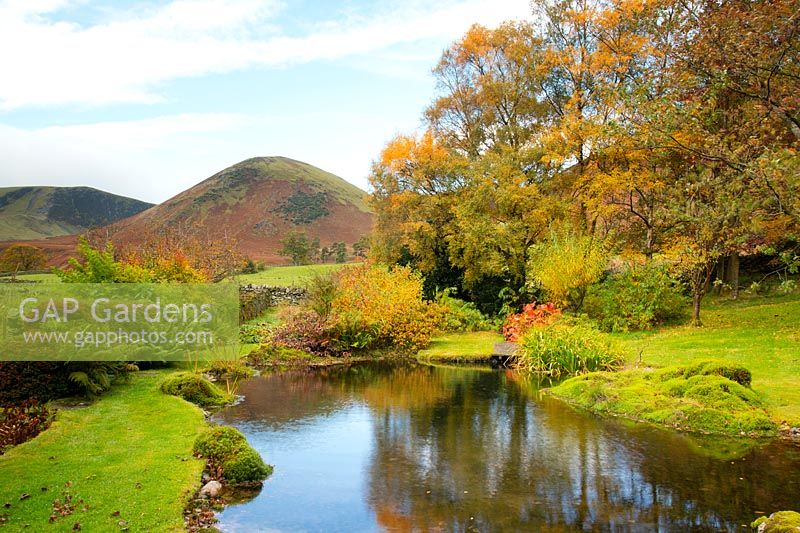 Mounds of moss around a pond surrounded by autumn foliage on sycamore trees and a view of The Tongue on the northern fells