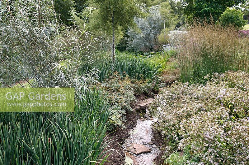 Piet Oudolf perennial planting by the stream in a private garden at Brockhampton open for NGS