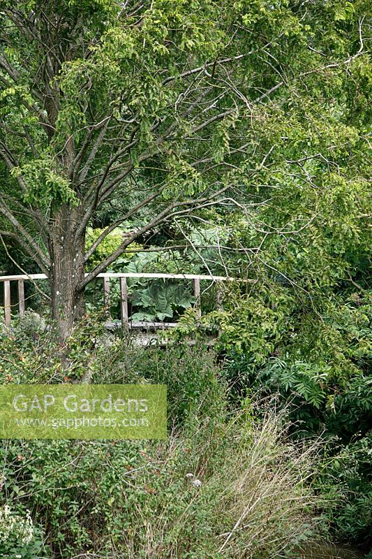 Japanese bridge over the stream in a private garden at Brockhampton open for NGS