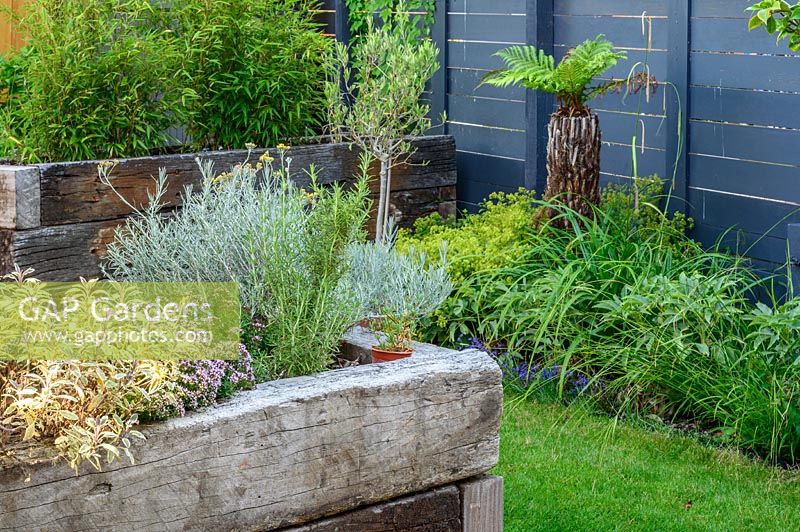 Walthamstow Modern Garden with Raised Bed  by Earth Designs 
