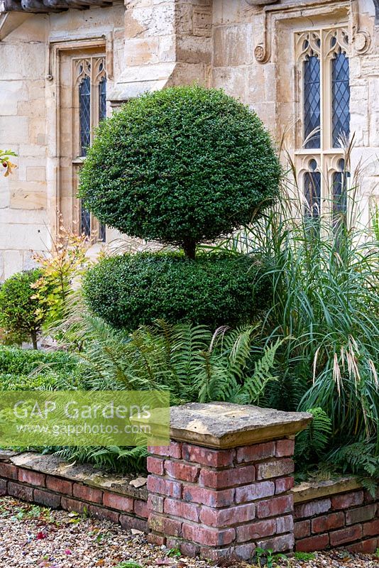 Imposing topiary shape, clipped from privet.