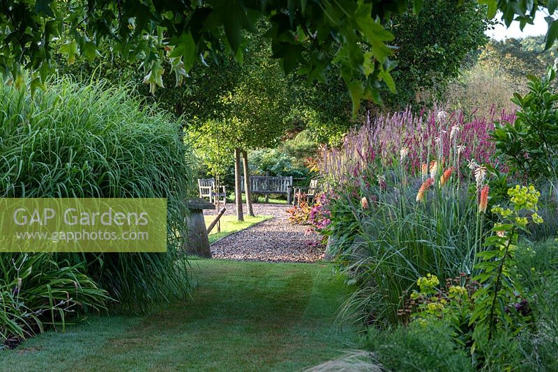 A grassy path leads between twin borders of miscanthus, red hot pokers, coneflowers and persicaria.