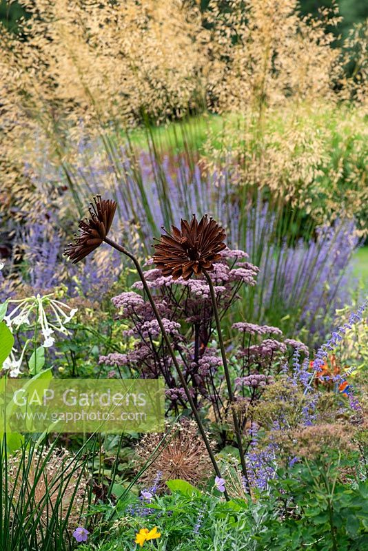 A rusty metal sculpture of a flower, set in a border amongst Stipa gigantea, Russian sage, tobacco plants and purple Angelica.