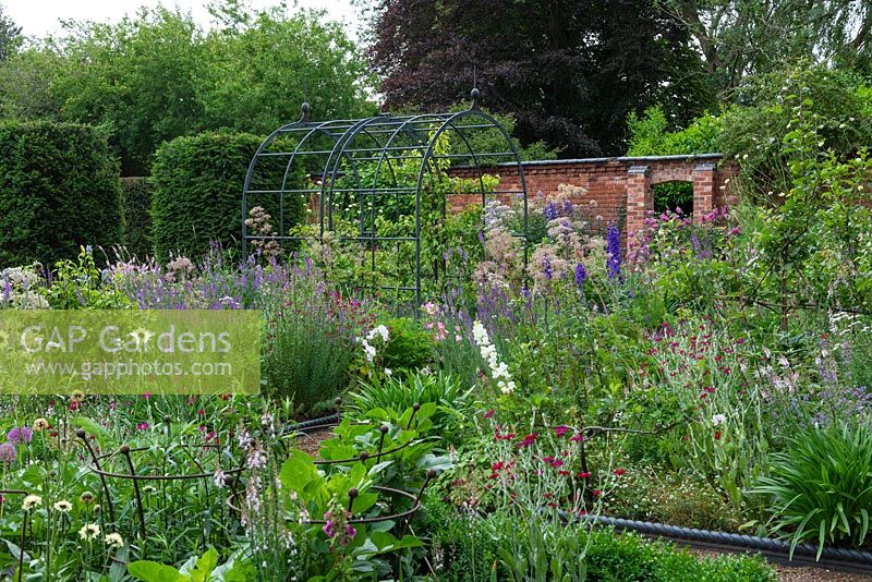 A metal fruit tunnel between beds of fruit trees, Roses, Alliums, Lychnis, Delphiniums, Toadflaxes and Mallows.