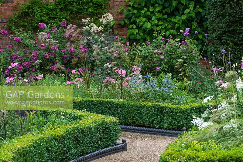 Box-edged bed planted with blue Eryngium zabelii 'Jos Eijking', Thalictrum, Roses, Lavatera trimestris 'Silver Cup' and Lavatera x clementii 'Bredon Springs'
