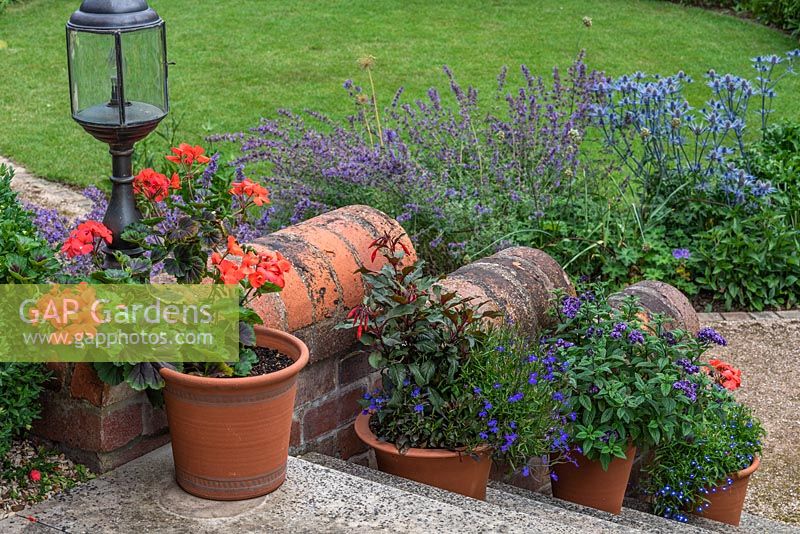 View down the steps, past pots of geraniums, fuchsia and lobelia, and heliotrope.