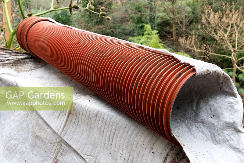 300mm Plain Ended Unperforated 'Solid' Twinwall Pipe wrapped twice with insulating thick pond liner underlay to provide winter protection for banana plants once lowered over the cut back plant