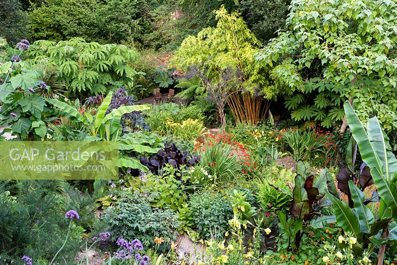 View down into a garden which is situated in a steep-sided valley or combe with its own sheltered microclimate which permits tender exotic plants to flourish