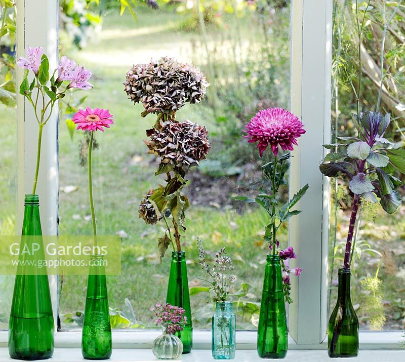 Ornamental cabbage, Alstromeria, Hydrangea macrophylla, Gerbera and Chrsanthemum stems in glass bottles on a window sill