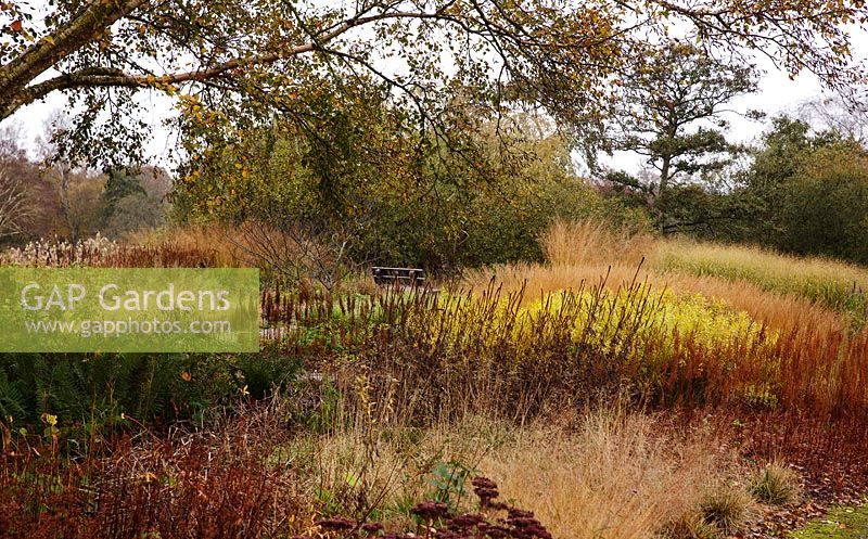 Piet Oudolf's Millennium garden at Pensthorpe in Norfolk - October