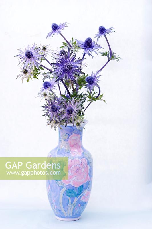 Eryngium flowers in a patterned vase 