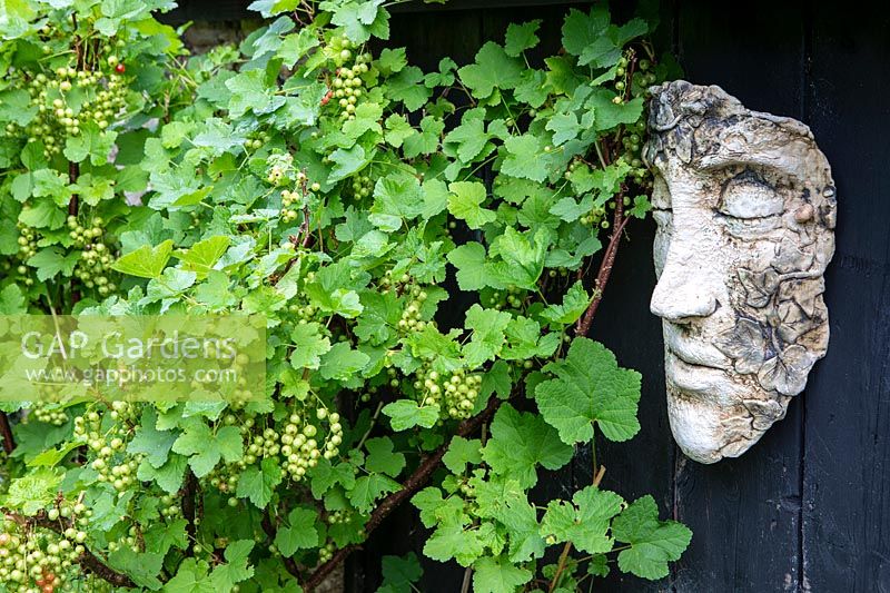 Ceramic face mounted on wood near fruit bush