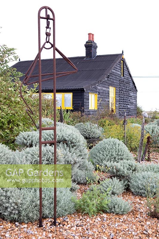 Cottage and garden on a shingle beach with grey-leaved plants and sculpture of found objects