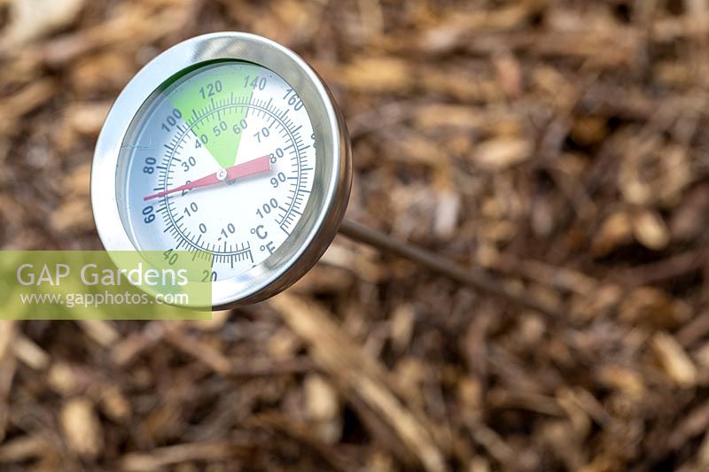 Thermometer or temperature gauge inserted into compost