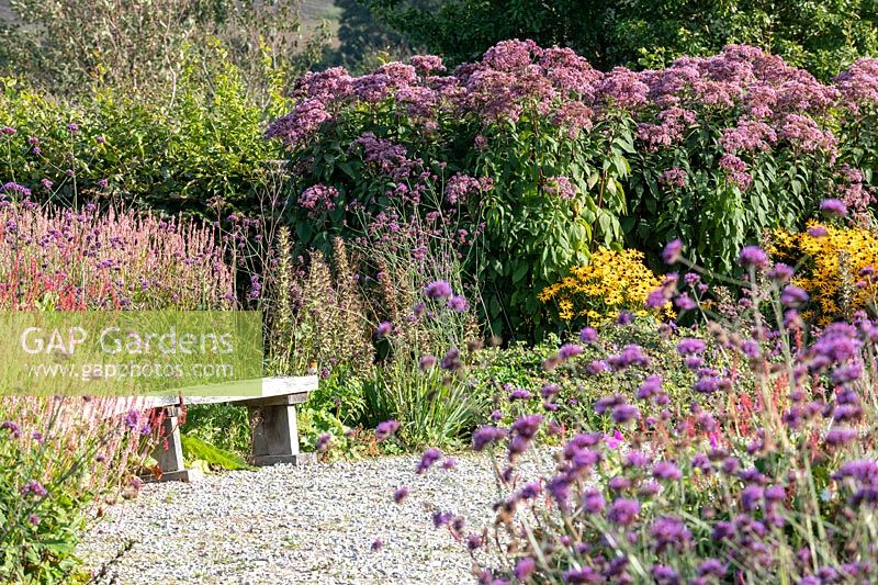 Perennial flower border, rustic oak bench nearby