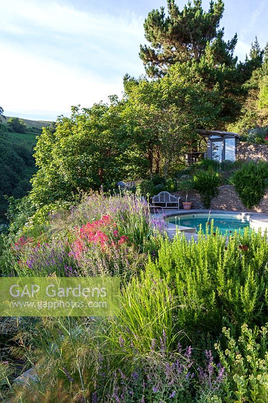 Informal planting on steep slope, swimming pool and countryside beyond