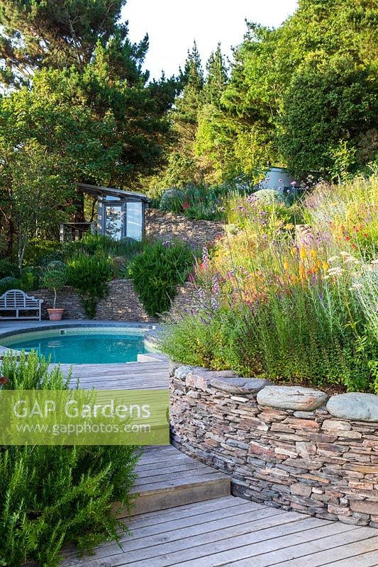 Decked path to swimming pool with stone wall terraces above filled with perennials