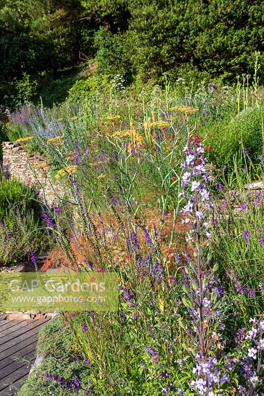 View across flower bed full of perennial and annuals at top of a drystone wall