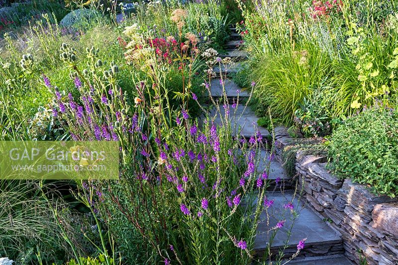 Densely-planted mix of perennial and annual flowers in border either side of stone steps