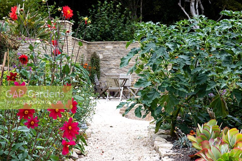 Stone path leading to a walled terrace seating area with Dahlia coccinea 'Great Dixter' and Datura stramonium