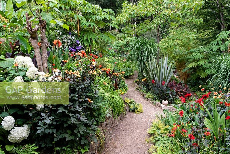 A path through a garden which is situated in a steep-sided valley, with its own sheltered microclimate which permits tender exotic plants to flourish. 