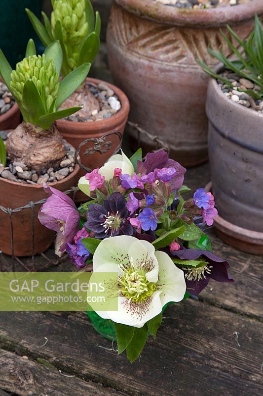 Mixed Hellebore varieties and Pulmonaria flowers in green glass antique vase with Hyacinths in wire basket, spring bulbs and perennials