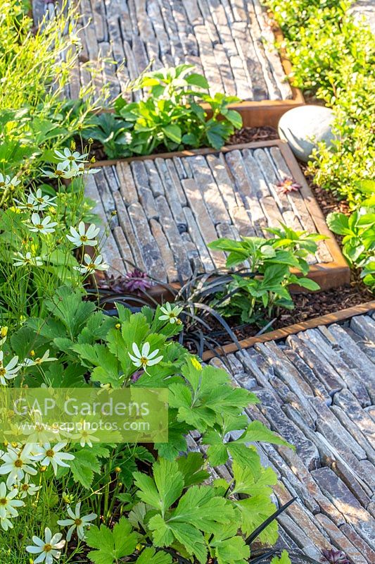 Stepping stones, made from corten steel filled with pieces of natural stone, form a path through low growing plants. Through Your Eyes Garden.