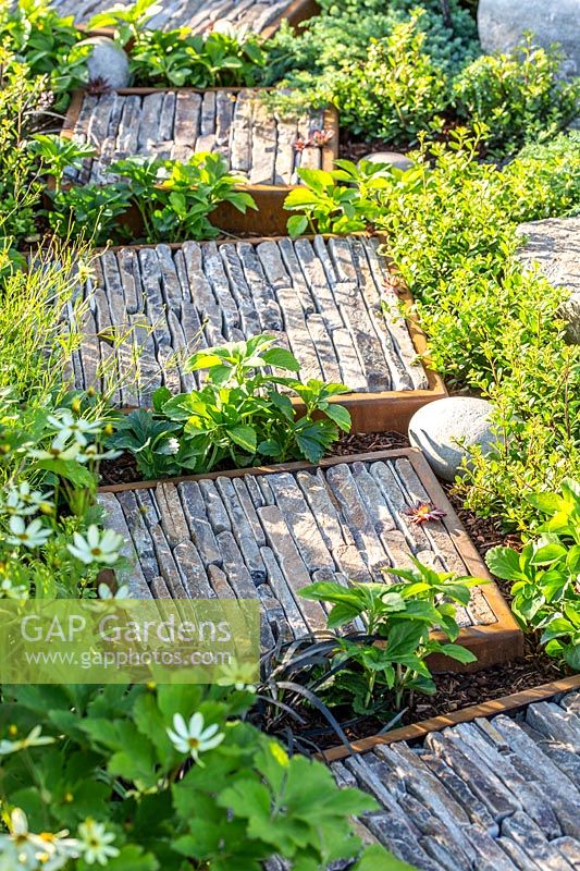 Stepping stones, made from corten steel sfilled with pieces of natural stone, form a path through low growing plants. Through Your Eyes Garden.