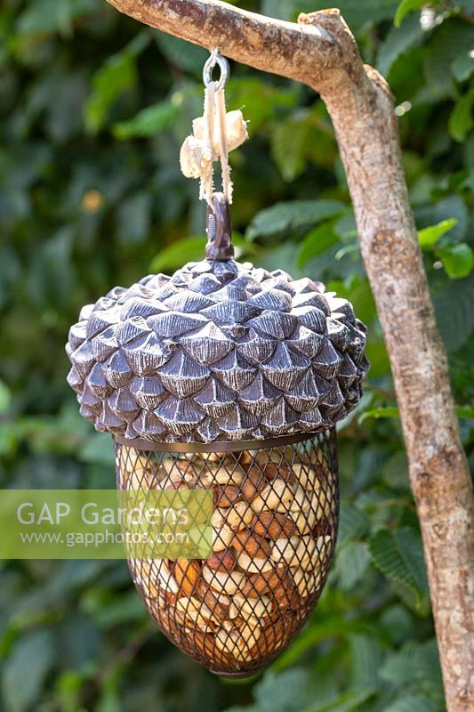 Acorn-shaped bird feeder filled with peanuts