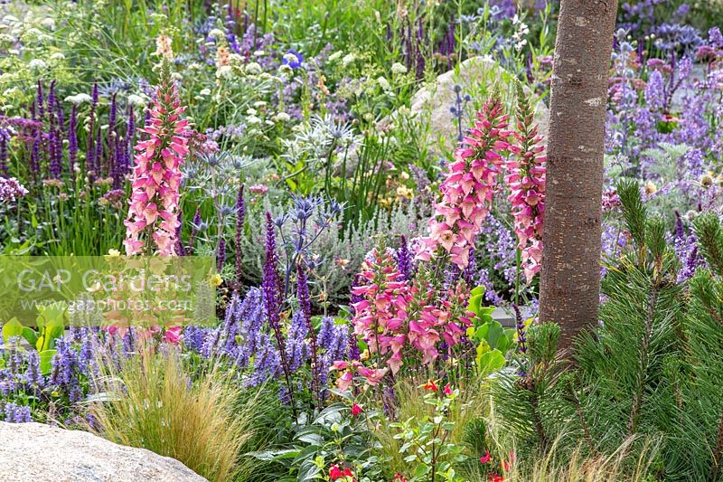 Large natural stones amongst nectar rich mixed summer planting. Garden: The Viking Cruises Lagom Garden - Hampton Court Flower Festival 2019