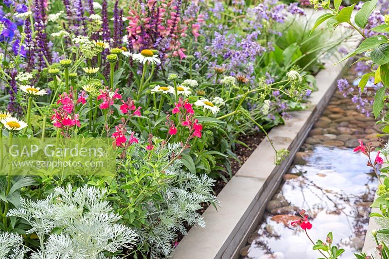 Contemporary rill water feature lined with large pebbles next to colourful summer mixed border including Artemisia, Nepeta 'Six Hills Giant', Salvia 'Mirage Cherry Red' and Echinacea purpurea 'White Swan'. The Viking Cruises Lagom Garden - Hampton Court Flower Festival 2019