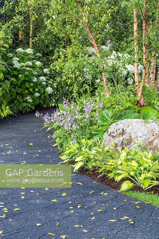 Curved path with cracked black surface  made from the by-product of industrial furnaces leads through borders of shade loving plants including Hostas with feature boulders. The Smart Meter Garden - Hampton Court Flower Festival 2019 