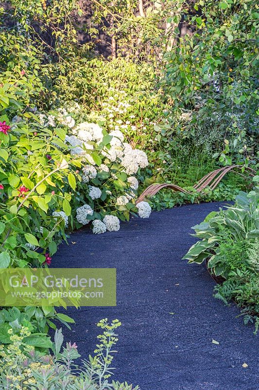 Curved path with cracked black surface  made from the by-product of industrial furnaces leads through borders of shade loving plants  including flowering hydrangea with feature boulders. The Smart Meter Garden - Hampton Court Flower Festival 2019 
