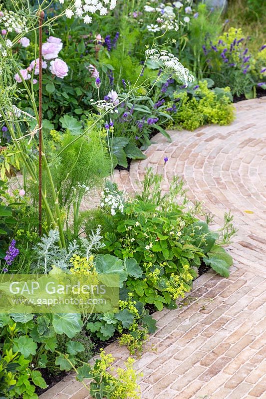 Naturalistic border including Alchemilla mollis softening edge of brick paving. The Naturecraft Garden - Hampton Court Flower Festival 2019 