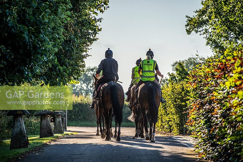 Horse riders at Paul Nicholls Racing, leaving the Highbridge yard early morning. 