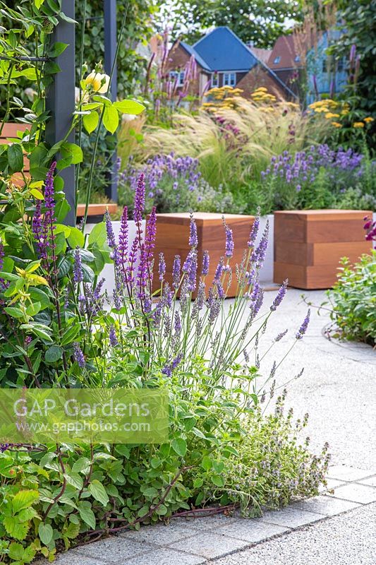 View through public communal space with mixed summer planting including salvia and lavender towards moveable wooden cube seating on rails and resin bound pathway with contemporary stone edging. The Crest Nicholson Livewell Garden - Hampton Court Flower Show 2019 