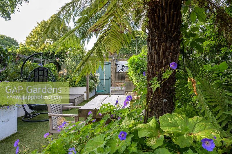 Family Small Hackney Garden  - dining area with Geranium and tree fern by Earth Designs