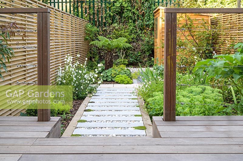 View of small, modern garden in London with Dicksonia antarctica and wooden shed, by Earth Designs.
