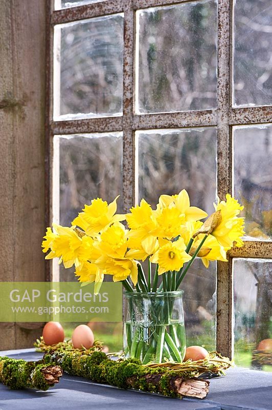 Narcissus - daffodils displayed in vase on windowsill.