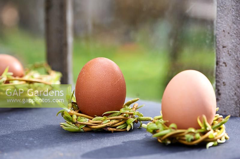 Still life of eggs set in a natural woven nests on a windowsill. 