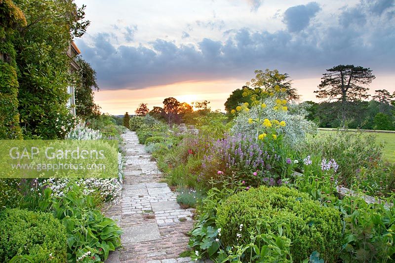 Path, made of slabs and setts of reclaimed York stone, surrounded by borders of seasonal spring interest at Malverleys, Hampshire, UK.
